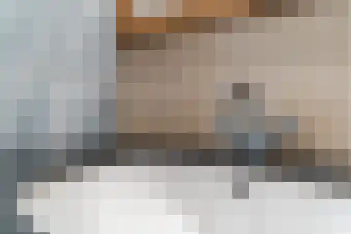 Rivierensingel 489 Helmond thumbnail 35