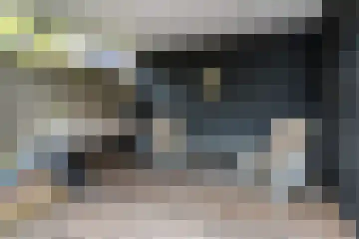 Rivierensingel 489 Helmond thumbnail 39