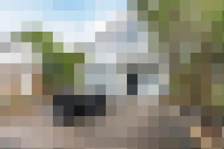 Rivierensingel 489 Helmond thumbnail 40