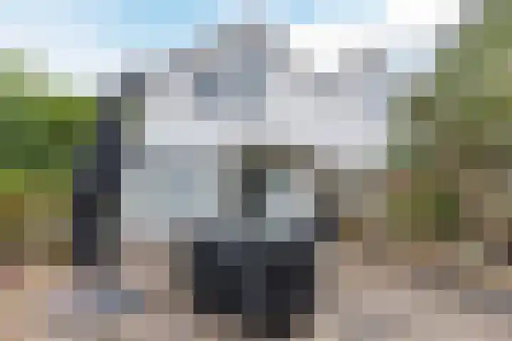 Rivierensingel 489 Helmond thumbnail 41