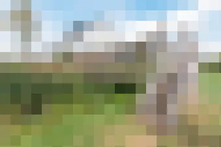 Rivierensingel 489 Helmond thumbnail 44