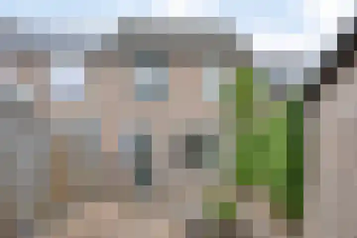 Rivierensingel 83 Helmond thumbnail 25