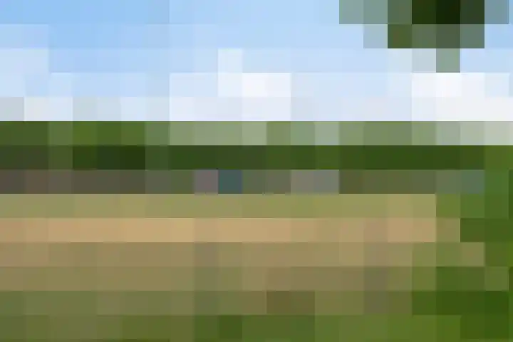 Rivierensingel 83 Helmond thumbnail 27