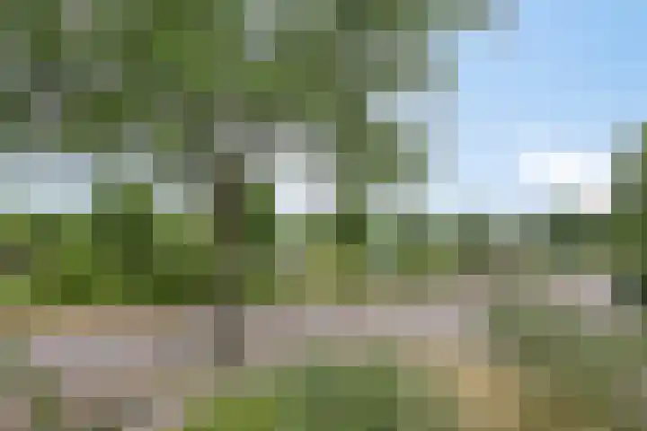 Rivierensingel 83 Helmond thumbnail 28