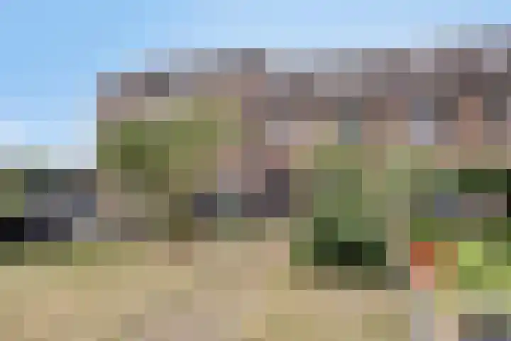 Rivierensingel 83 Helmond thumbnail 5
