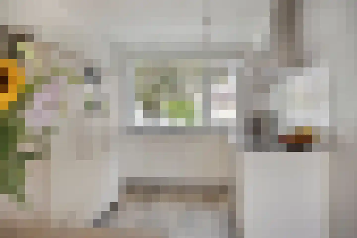 Rivierforel 24 Leiden thumbnail 18