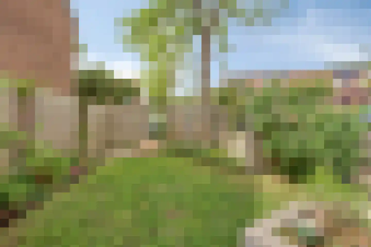 Rivierforel 24 Leiden thumbnail 33
