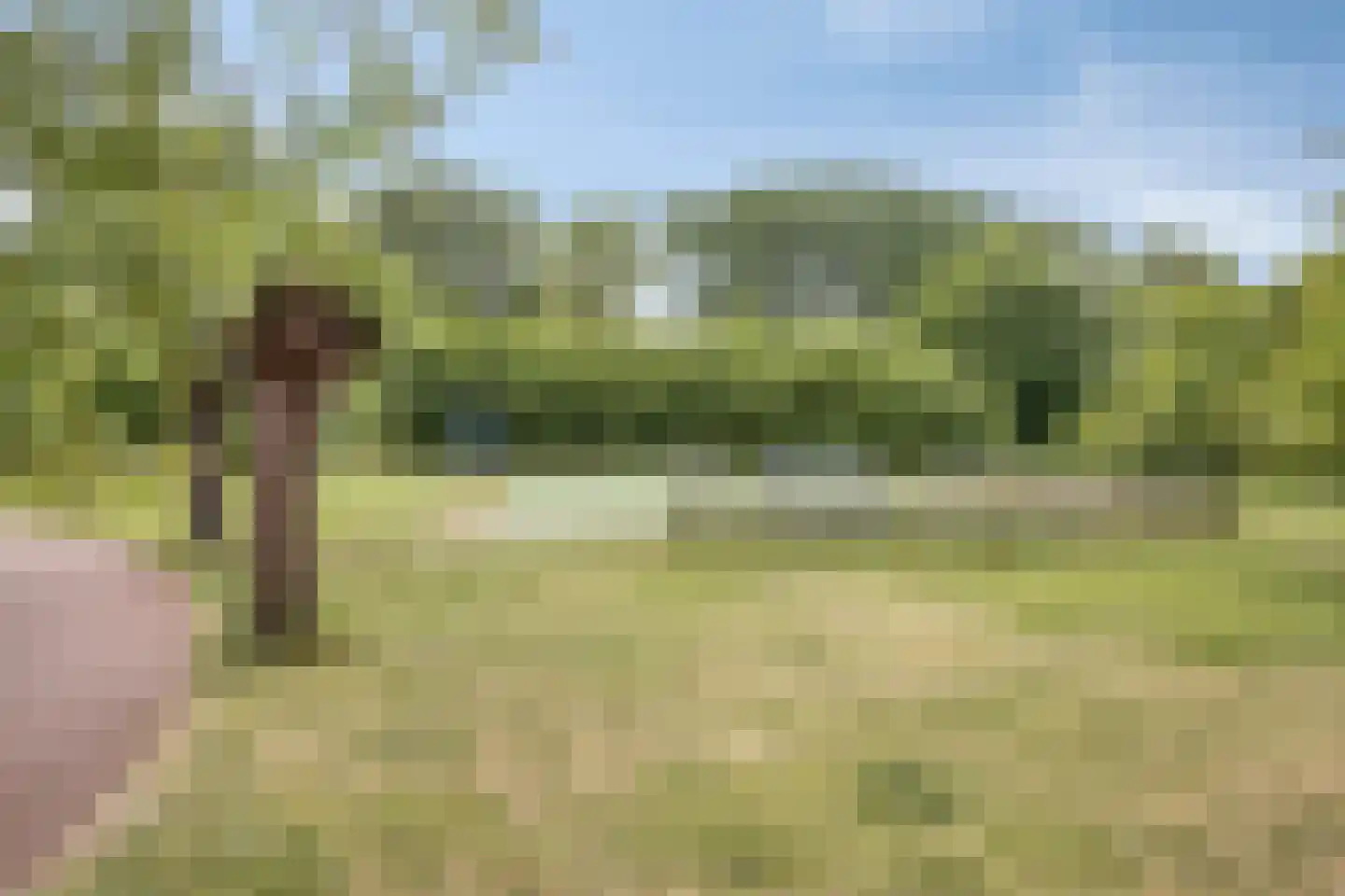 Rivierforel 24 Leiden thumbnail 36