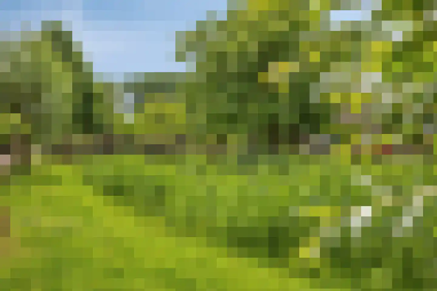 Rivierforel 24 Leiden thumbnail 37