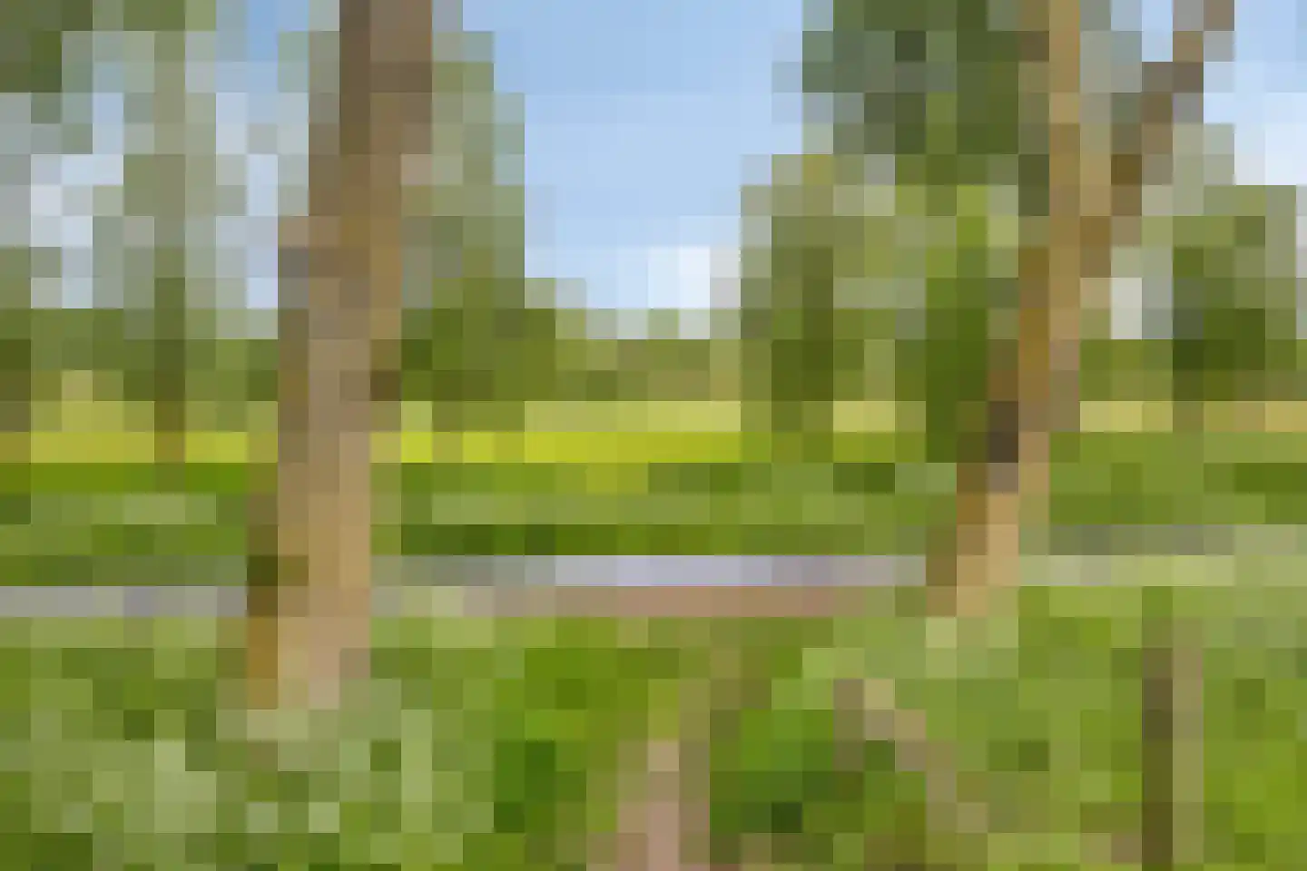 Rivierforel 24 Leiden thumbnail 38