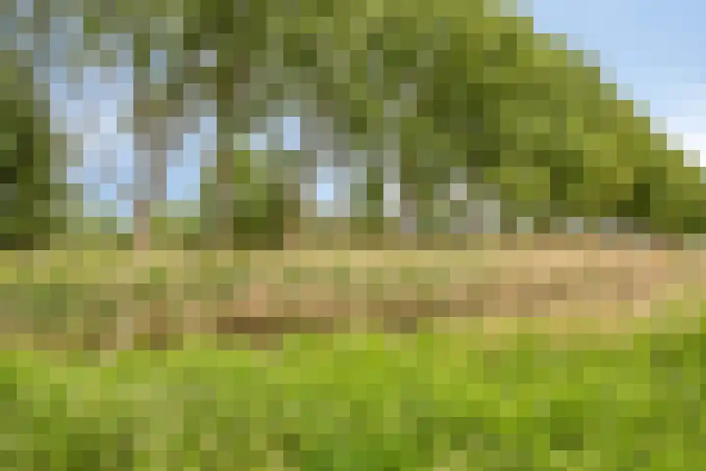 Rivierforel 24 Leiden thumbnail 39