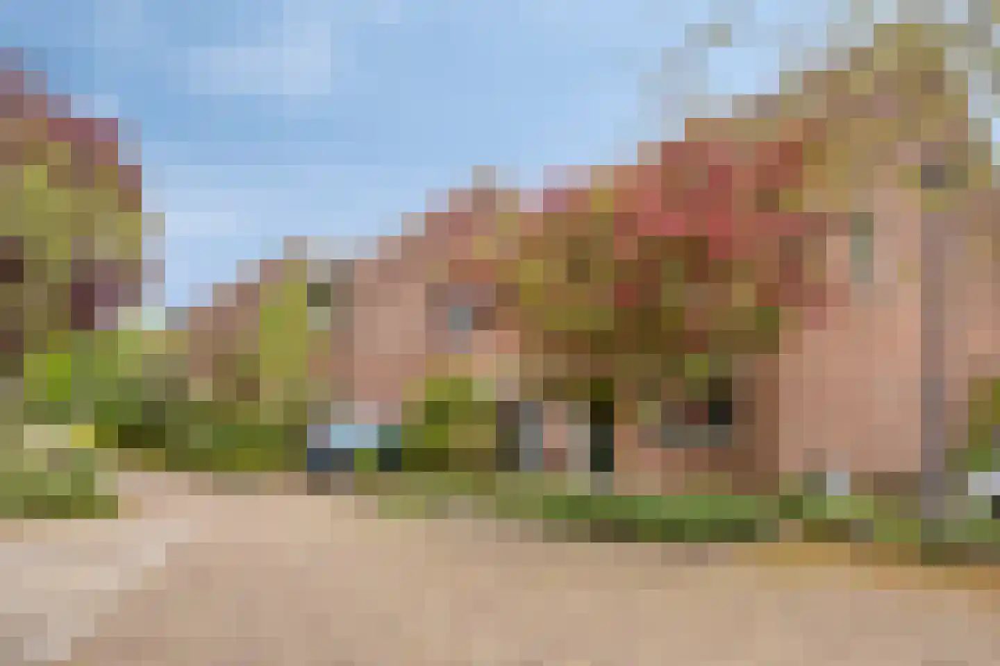 Rivierforel 24 Leiden thumbnail 8