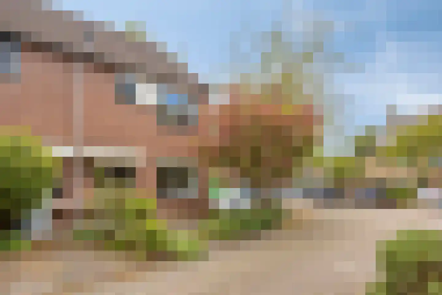 Rivierforel 24 Leiden thumbnail 9