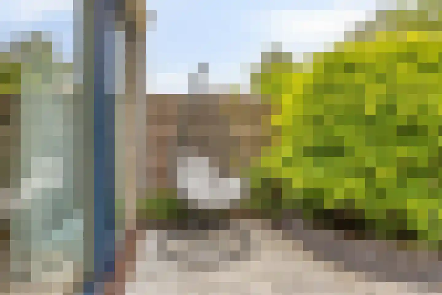 Rivierforel 29 Leiden thumbnail 41