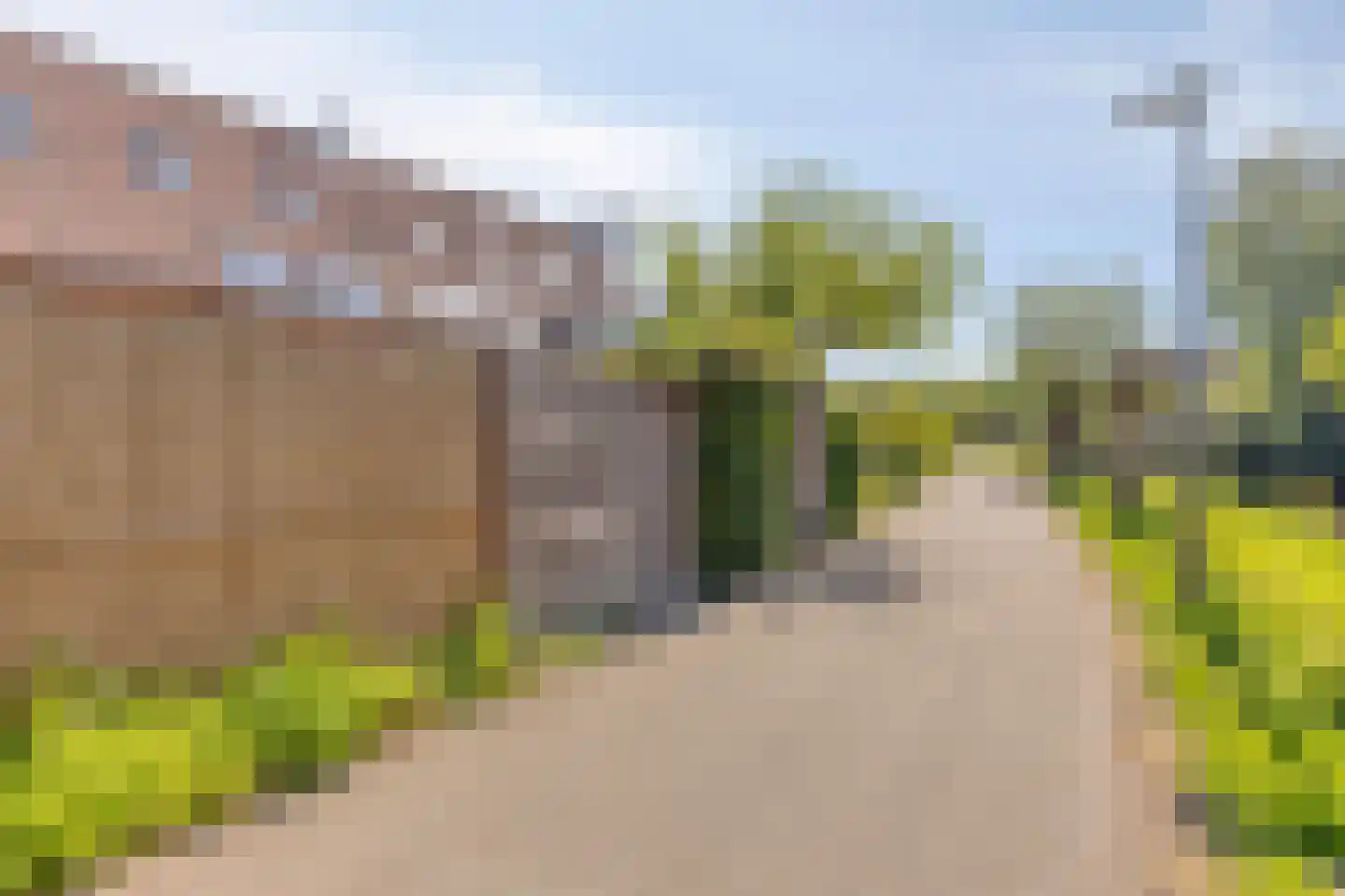 Rivierforel 29 Leiden thumbnail 43