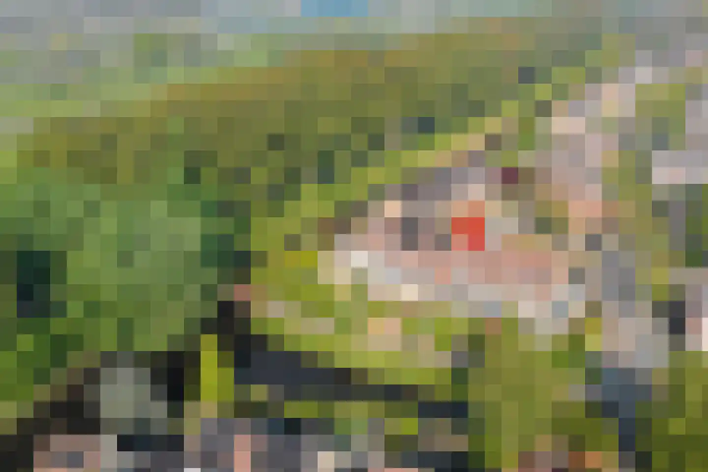 Rivierforel 29 Leiden thumbnail 45