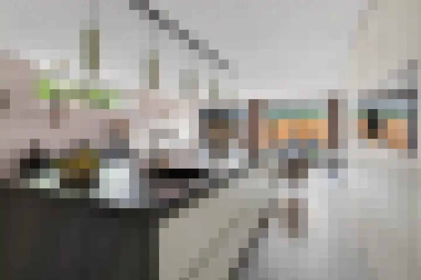 Riviergrondel 21 Kwintsheul thumbnail 12