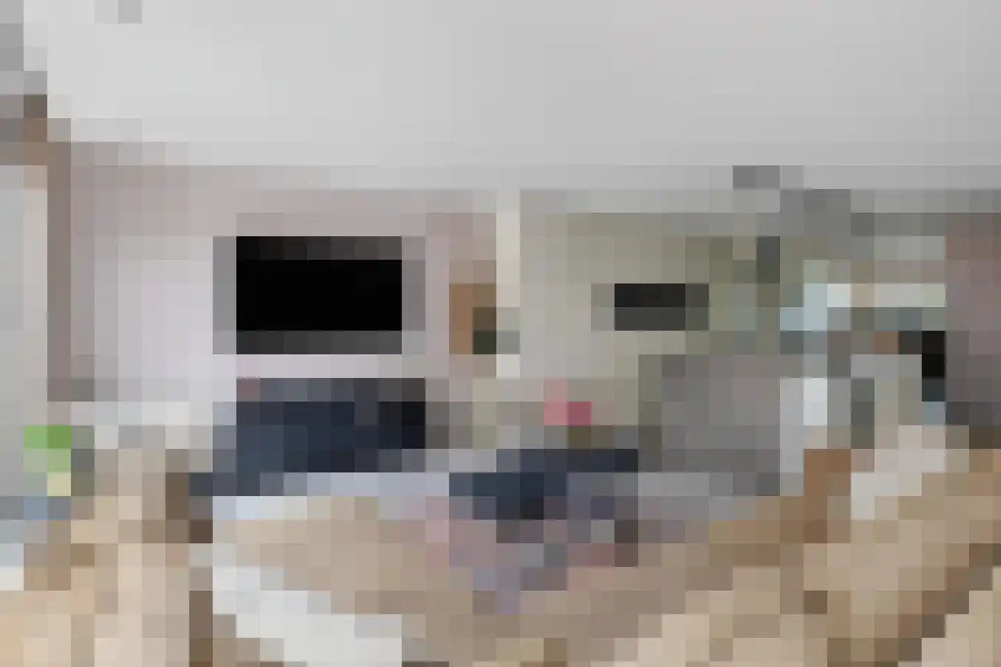 Riviergrondel 21 Kwintsheul thumbnail 16
