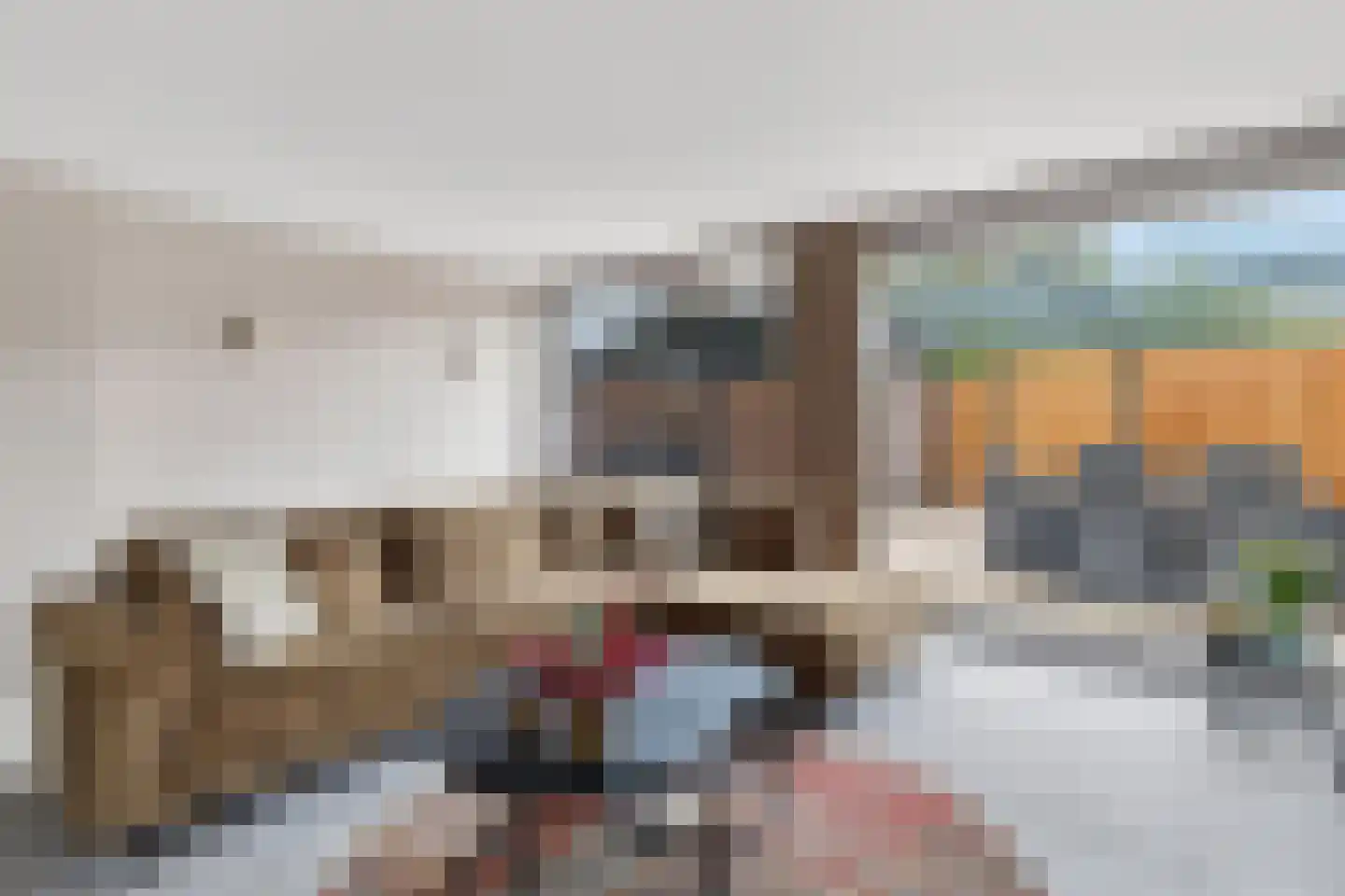Riviergrondel 21 Kwintsheul thumbnail 19