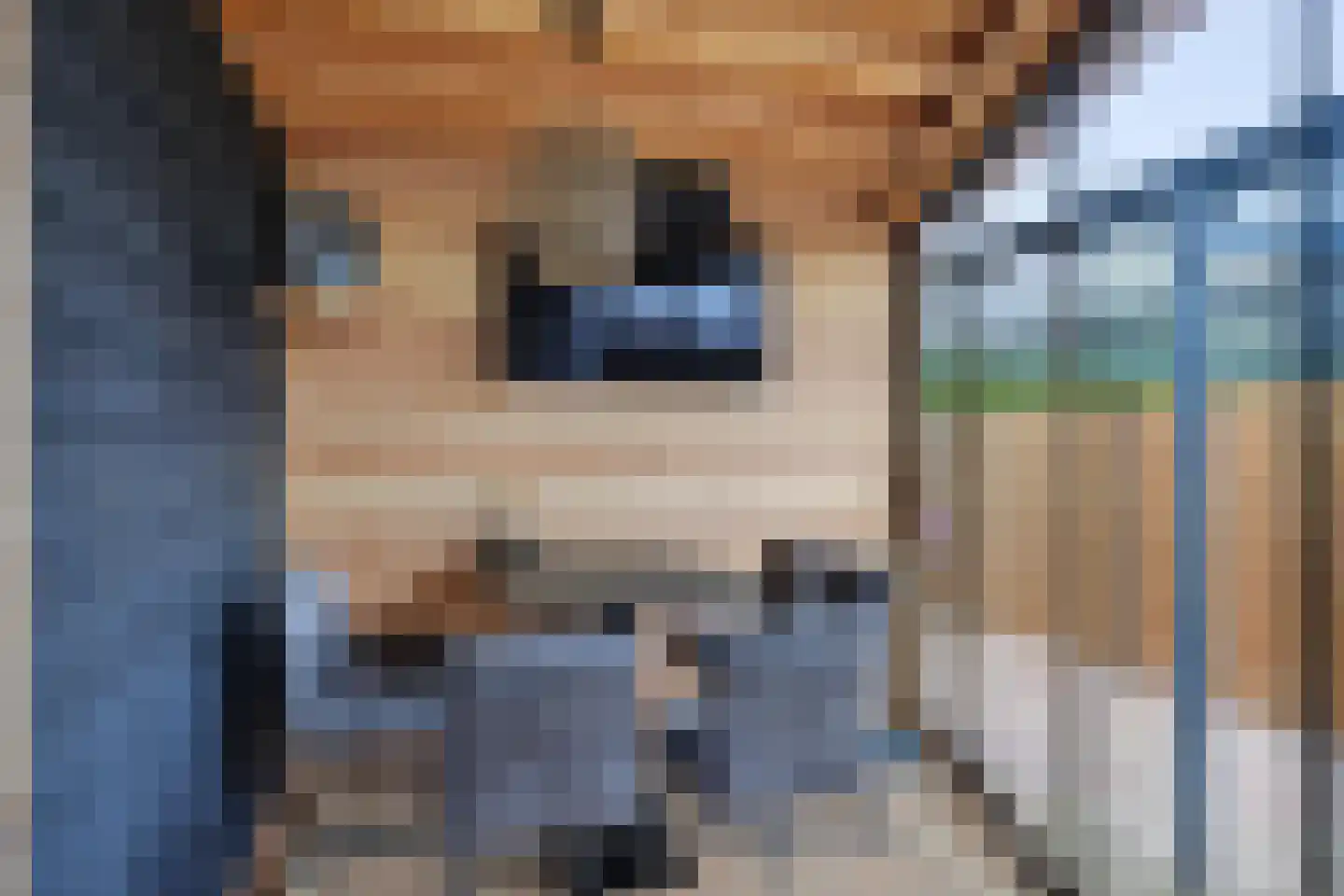 Riviergrondel 21 Kwintsheul thumbnail 22