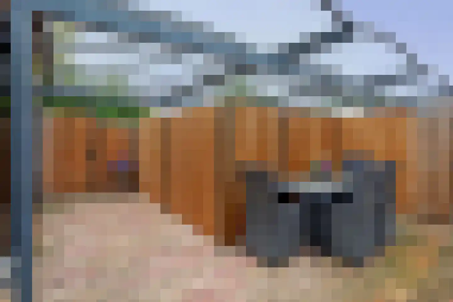 Riviergrondel 21 Kwintsheul thumbnail 23