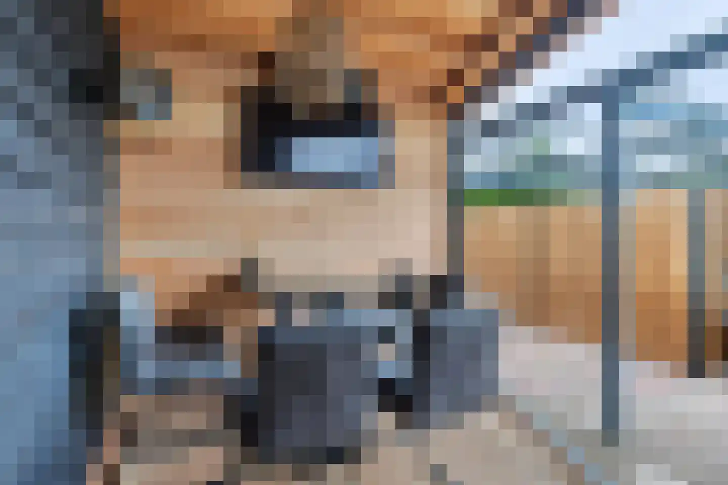 Riviergrondel 21 Kwintsheul thumbnail 26