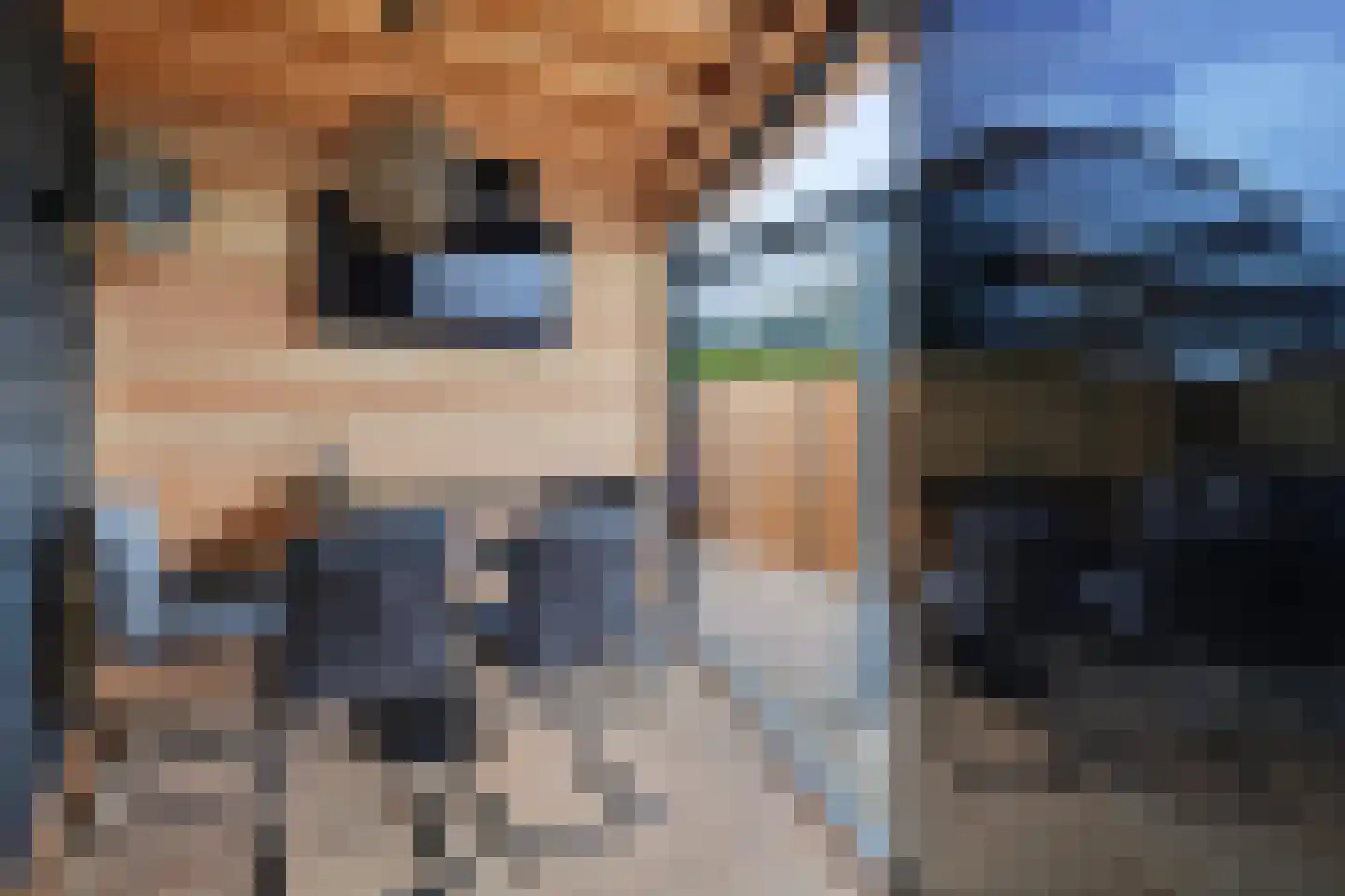 Riviergrondel 21 Kwintsheul thumbnail 27