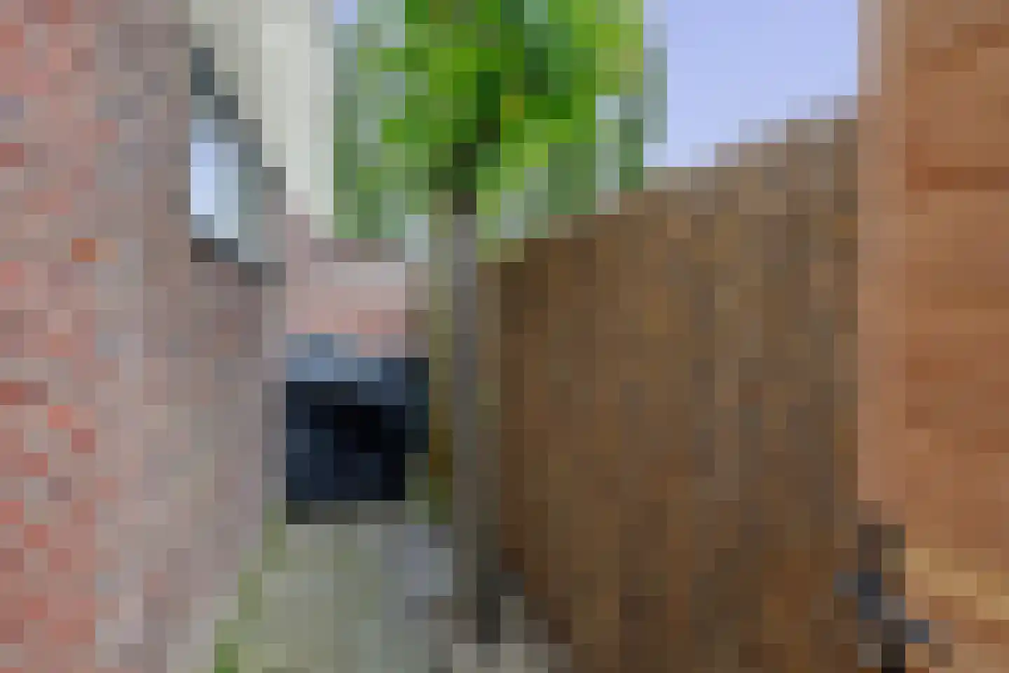 Riviergrondel 21 Kwintsheul thumbnail 29