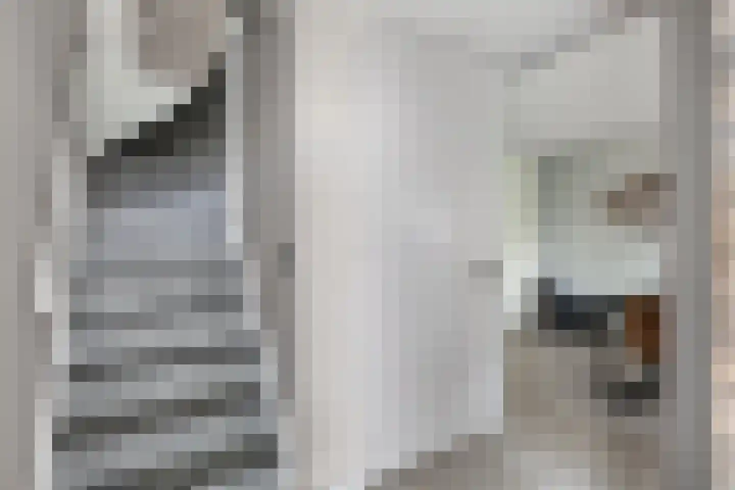 Riviergrondel 21 Kwintsheul thumbnail 32