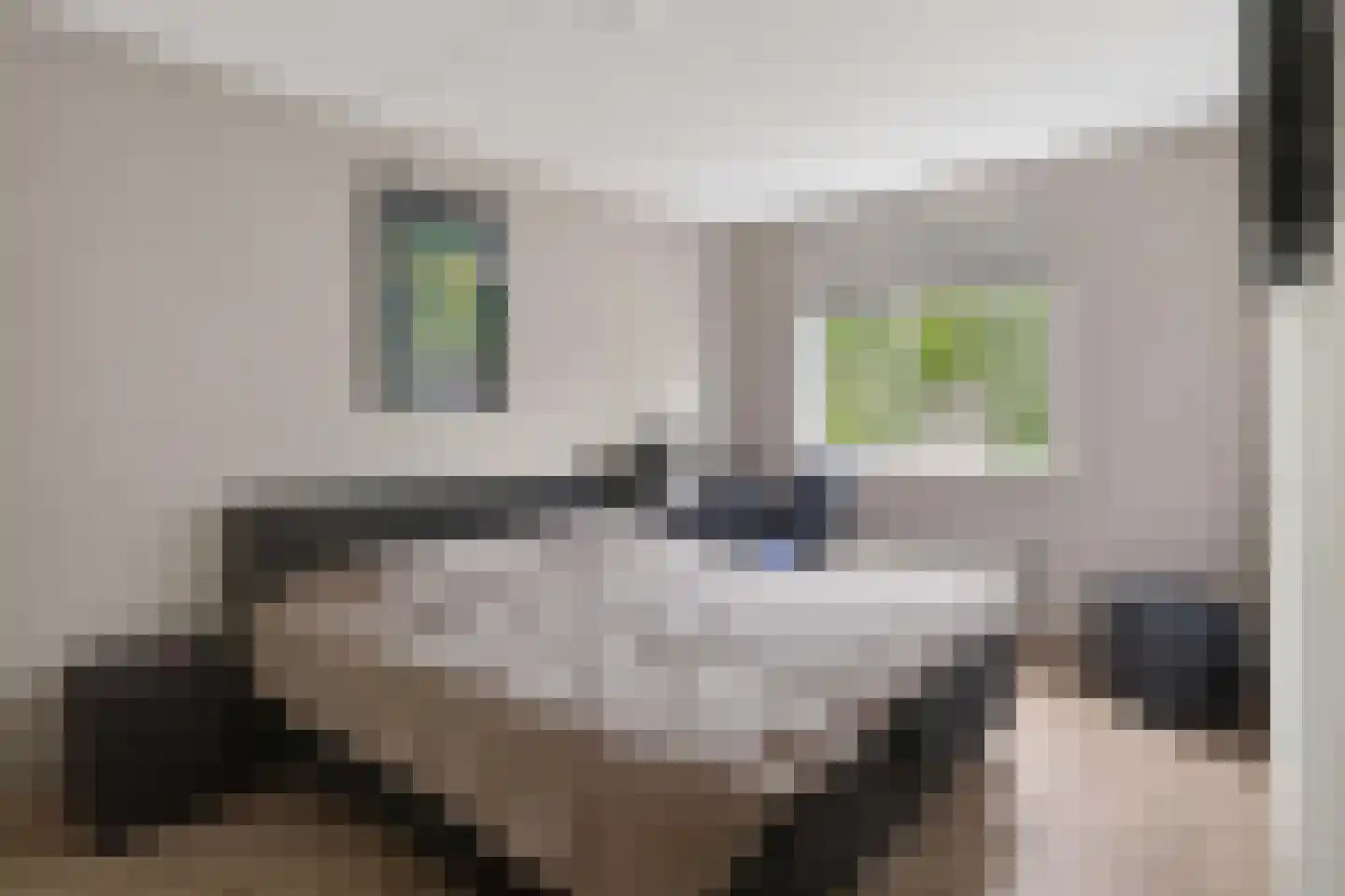Riviergrondel 21 Kwintsheul thumbnail 34