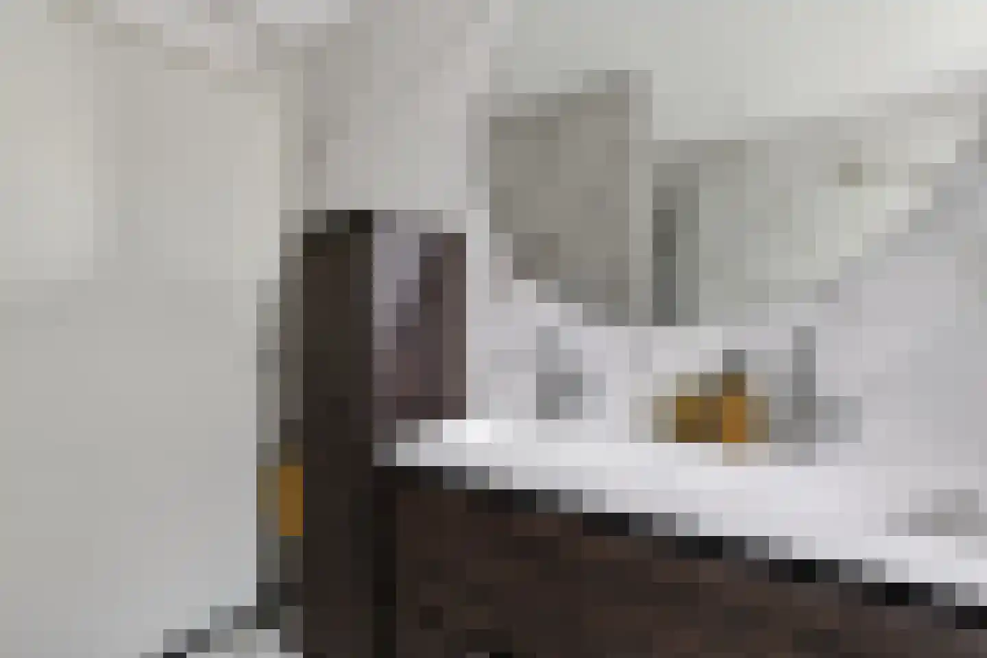 Riviergrondel 21 Kwintsheul thumbnail 37