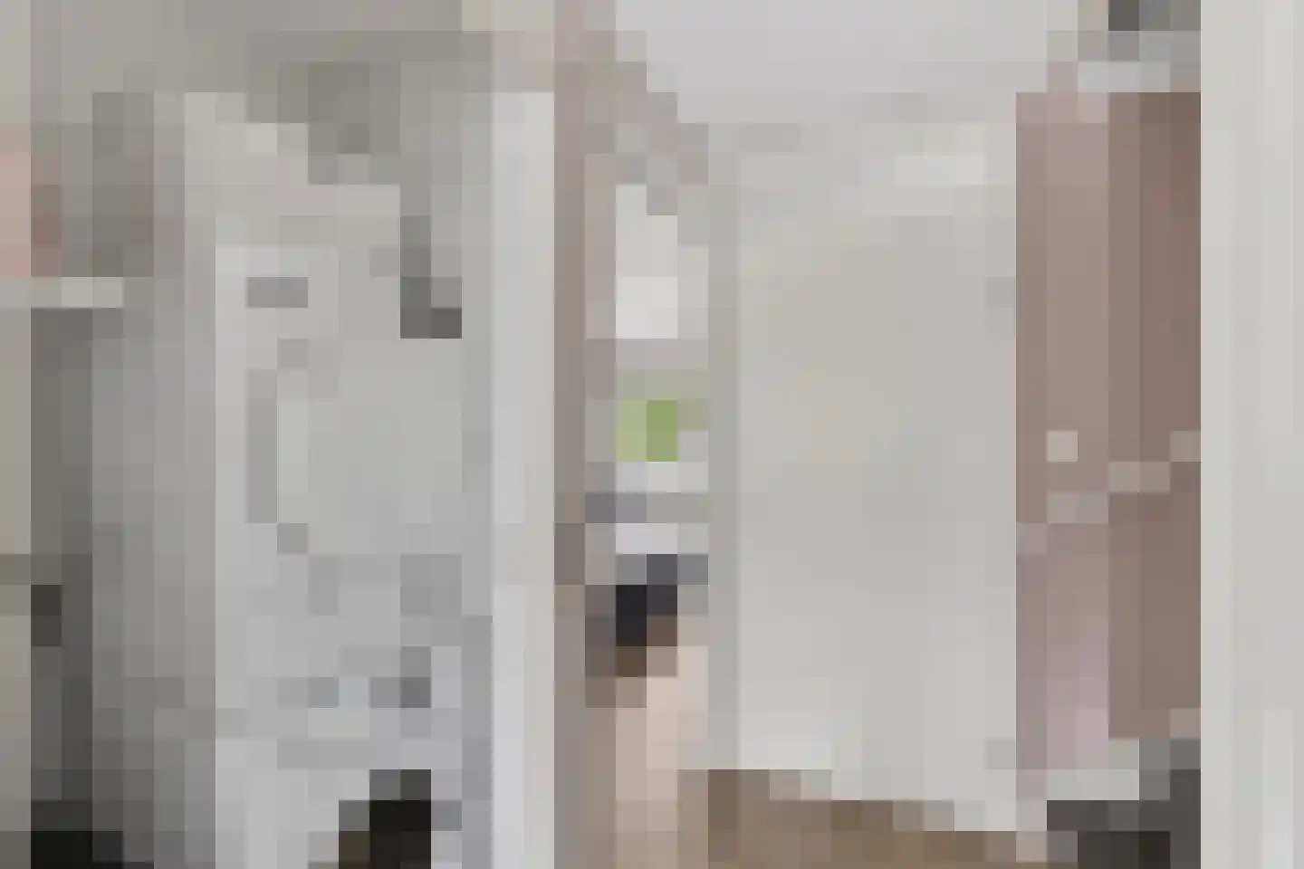 Riviergrondel 21 Kwintsheul thumbnail 43