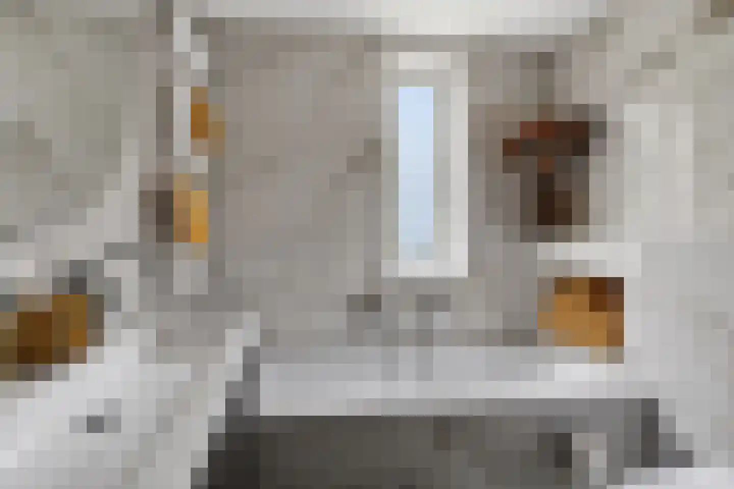 Riviergrondel 21 Kwintsheul thumbnail 5