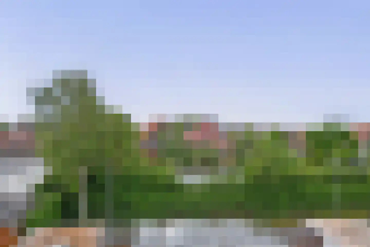 Riviergrondel 21 Kwintsheul thumbnail 50
