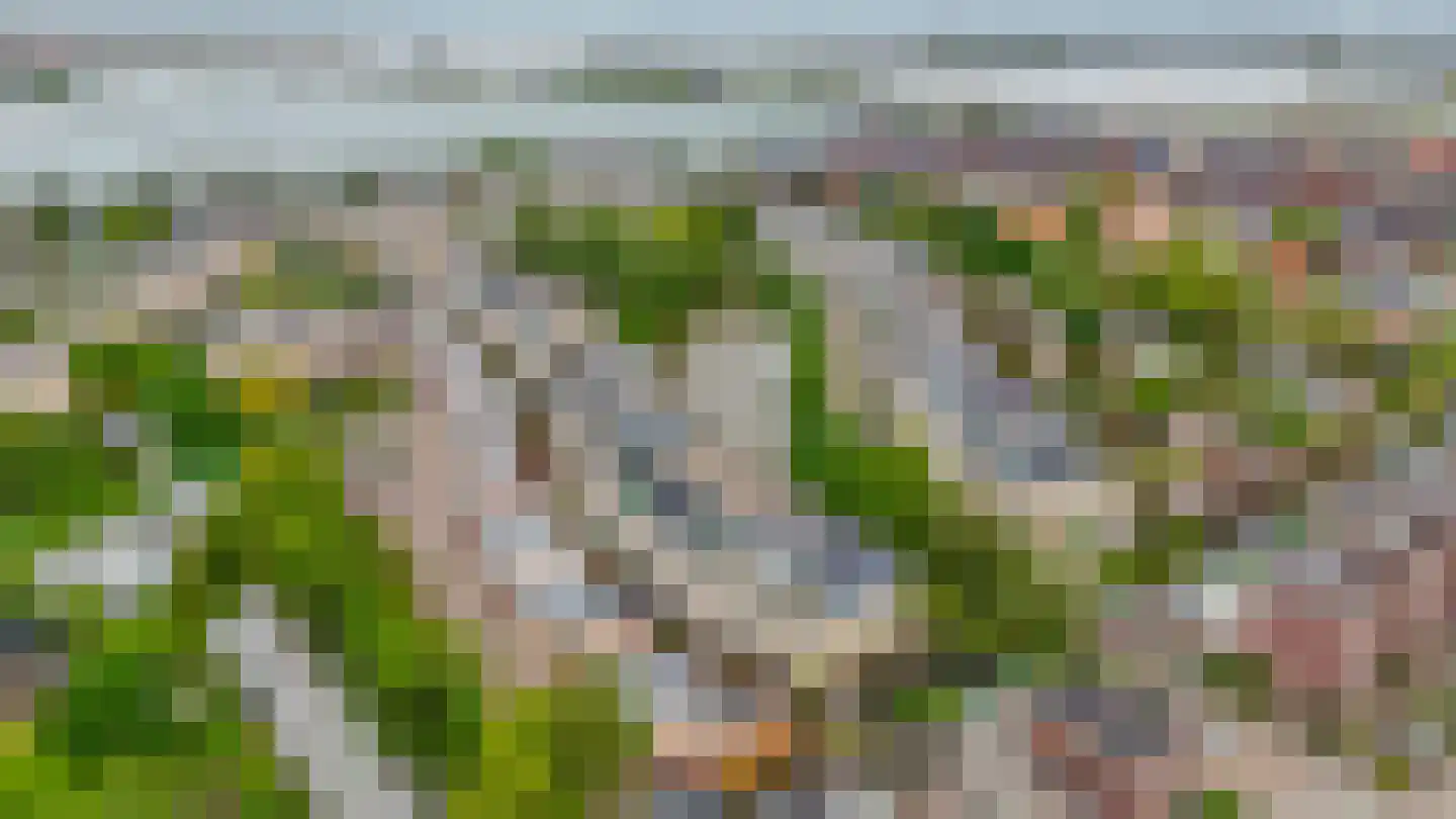 Riviergrondel 21 Kwintsheul thumbnail 57
