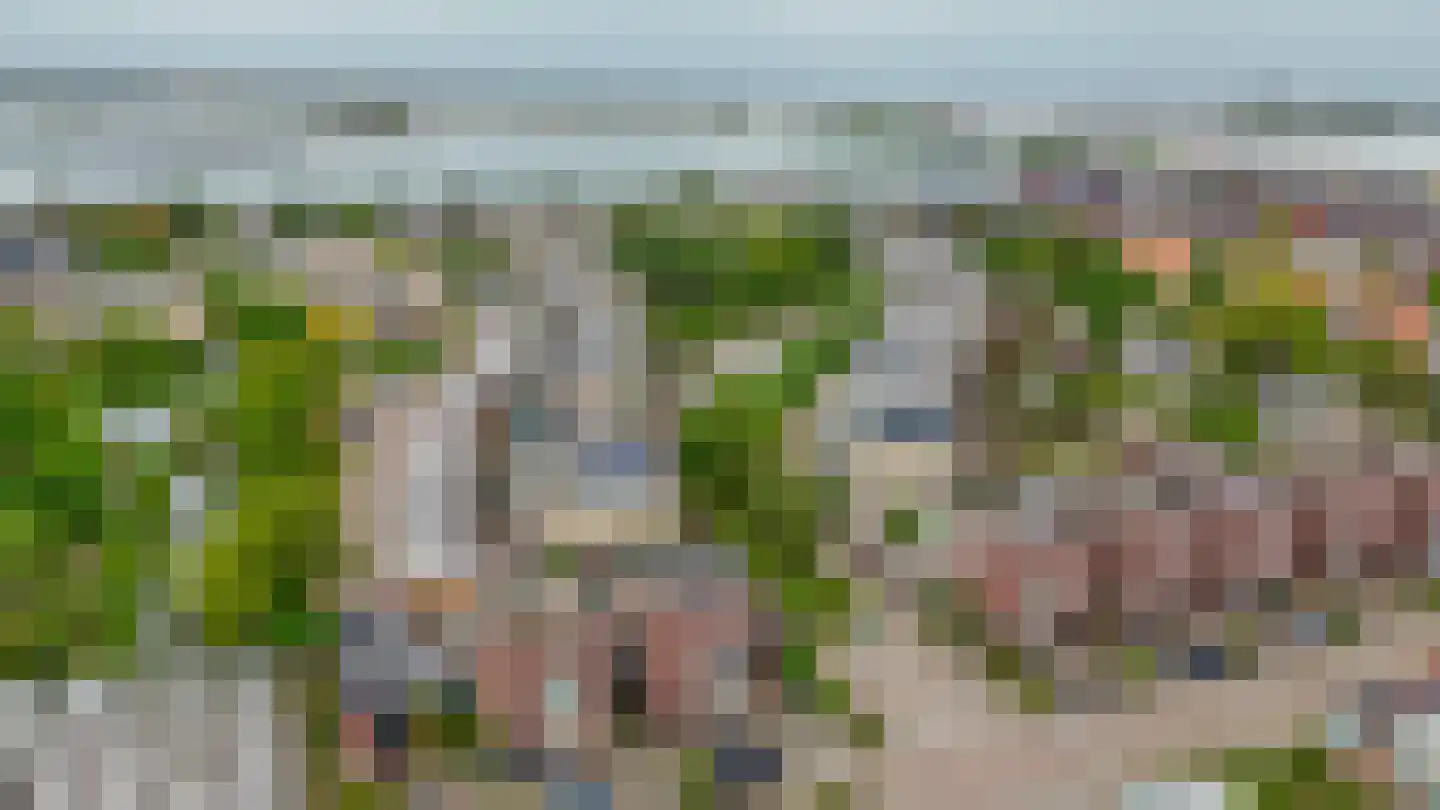 Riviergrondel 21 Kwintsheul thumbnail 58