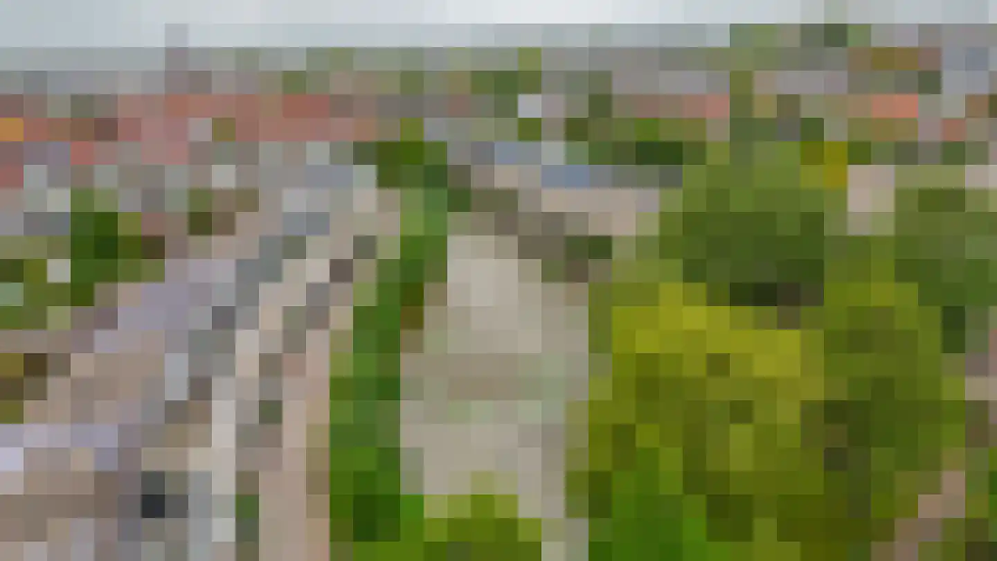 Riviergrondel 21 Kwintsheul thumbnail 59