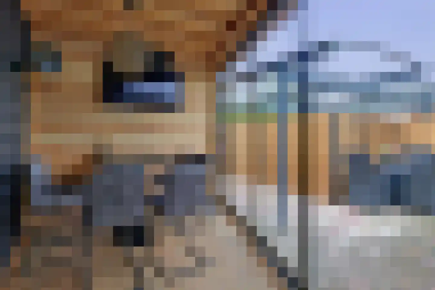 Riviergrondel 21 Kwintsheul thumbnail 6