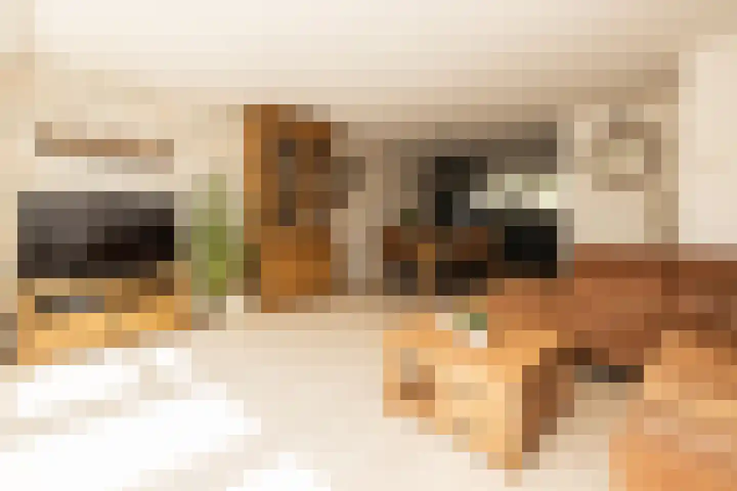 Riviergrondel 5 Kwintsheul thumbnail 10