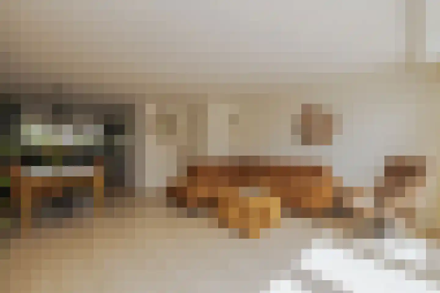 Riviergrondel 5 Kwintsheul thumbnail 11