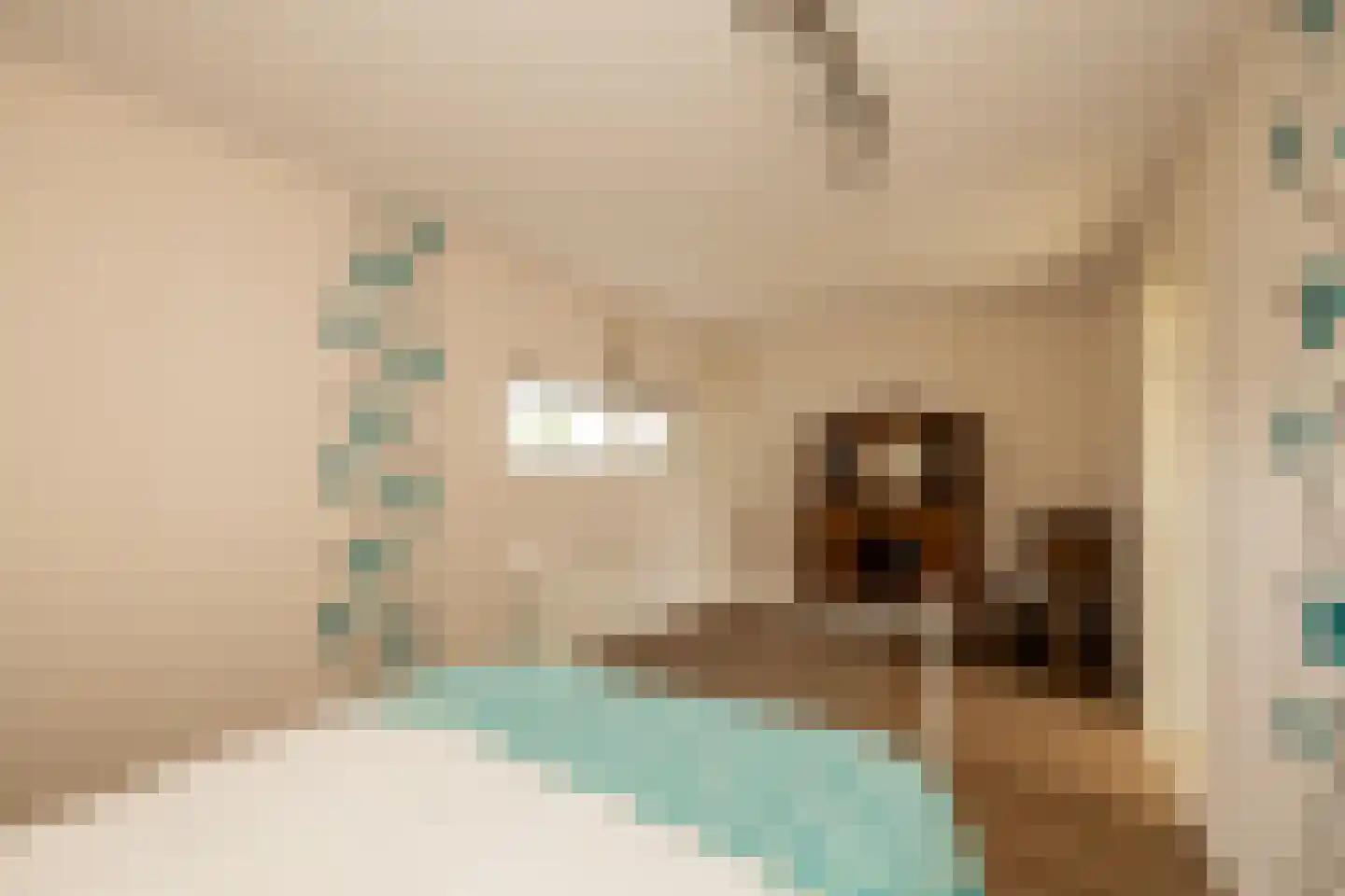 Riviergrondel 5 Kwintsheul thumbnail 27