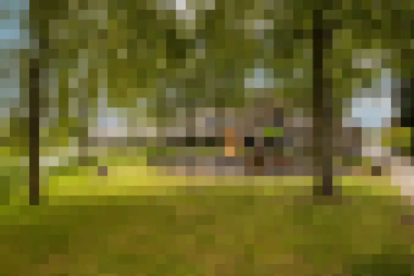Riviergrondel 5 Kwintsheul thumbnail 39