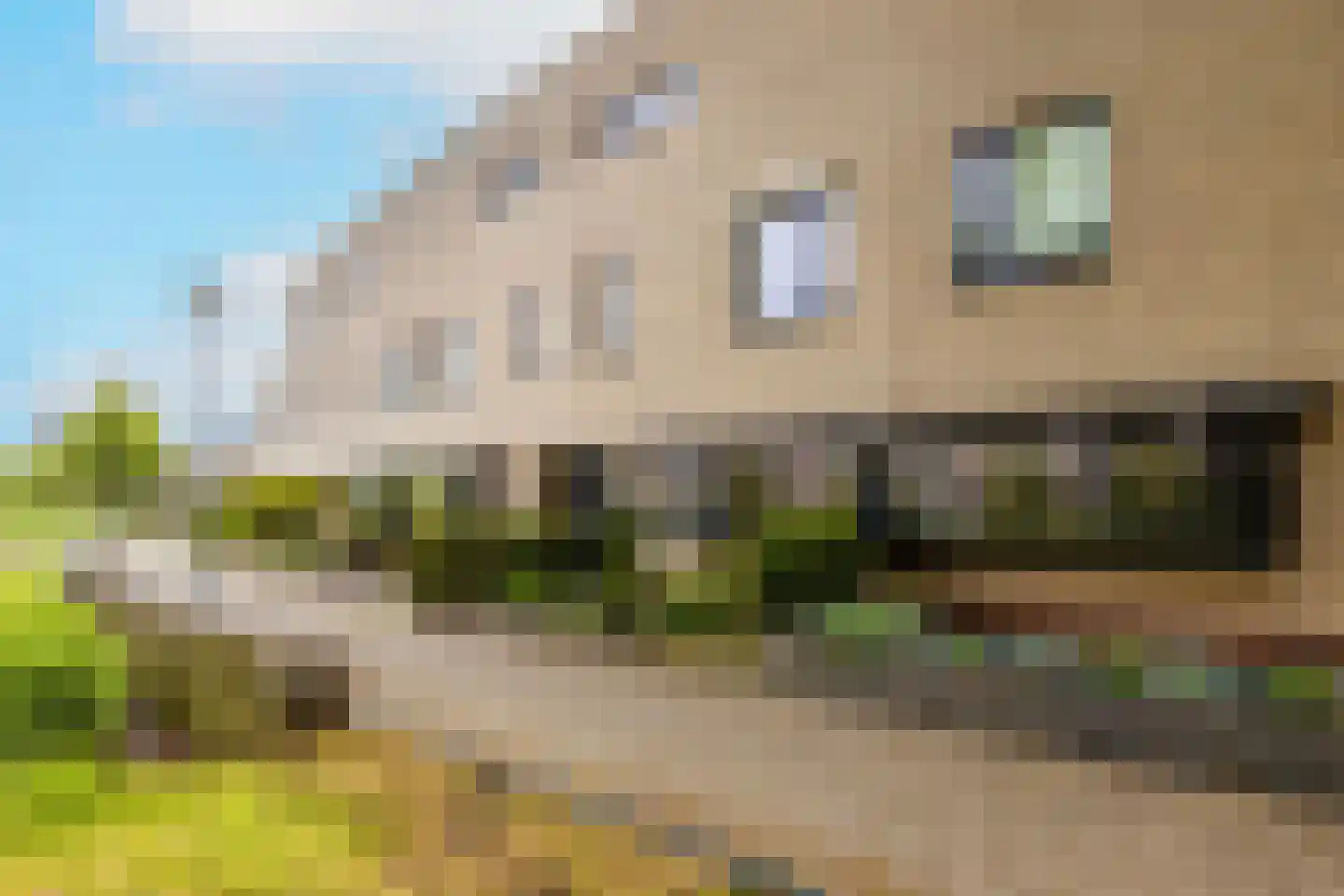 Riviergrondel 5 Kwintsheul thumbnail 40