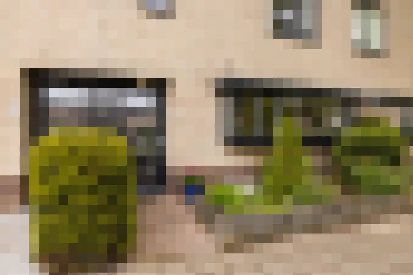 Riviergrondel 5 Kwintsheul thumbnail 5