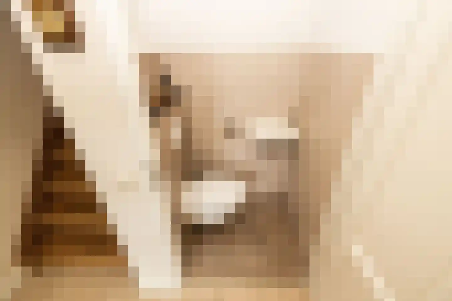 Riviergrondel 5 Kwintsheul thumbnail 7