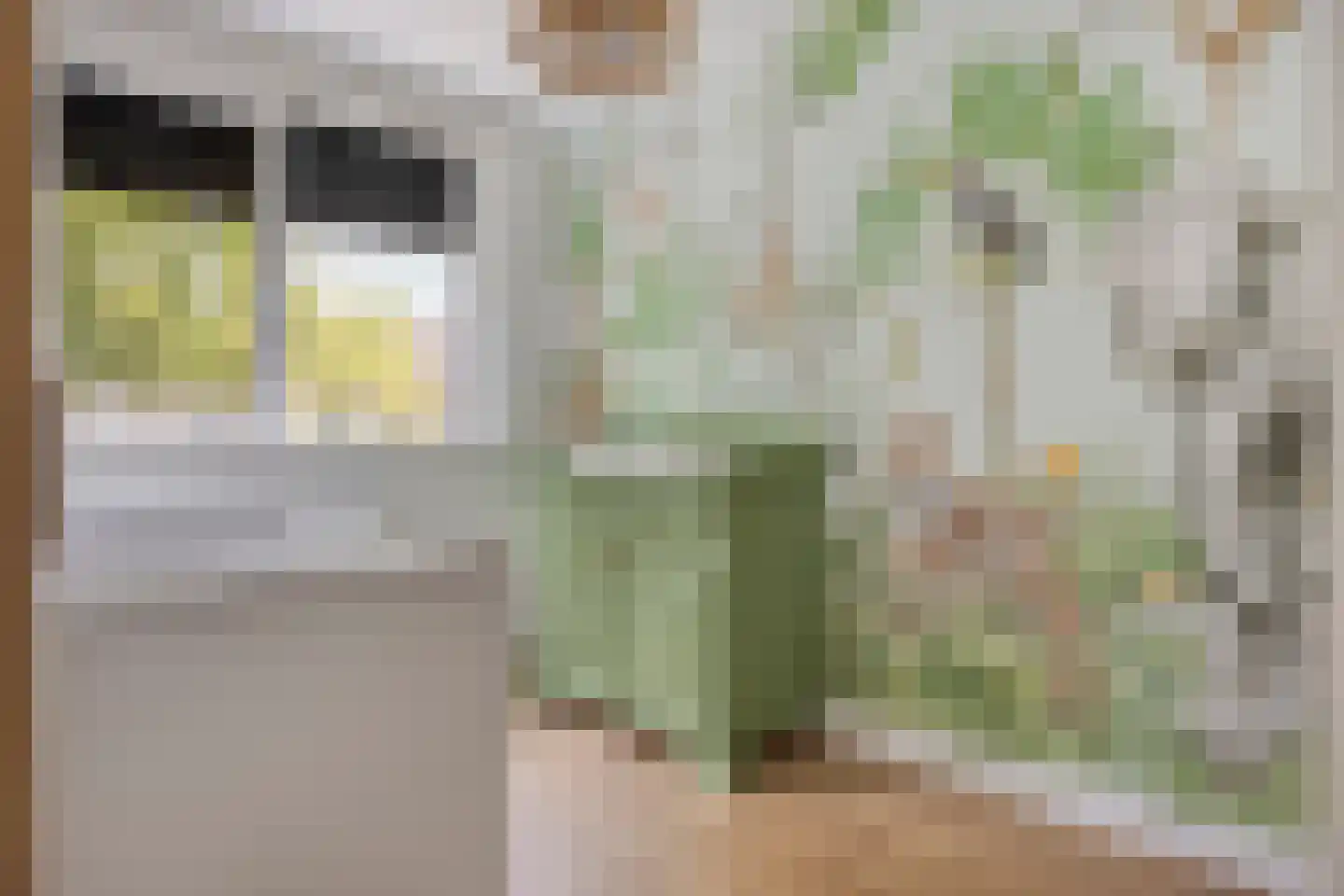 Rivierlaan 27 Spijkenisse thumbnail 12