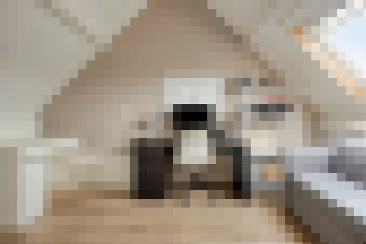 Rivierlaan 27 Spijkenisse thumbnail 21