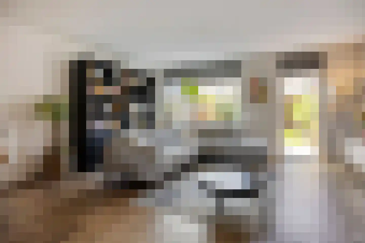 Rivierlaan 27 Spijkenisse thumbnail 6