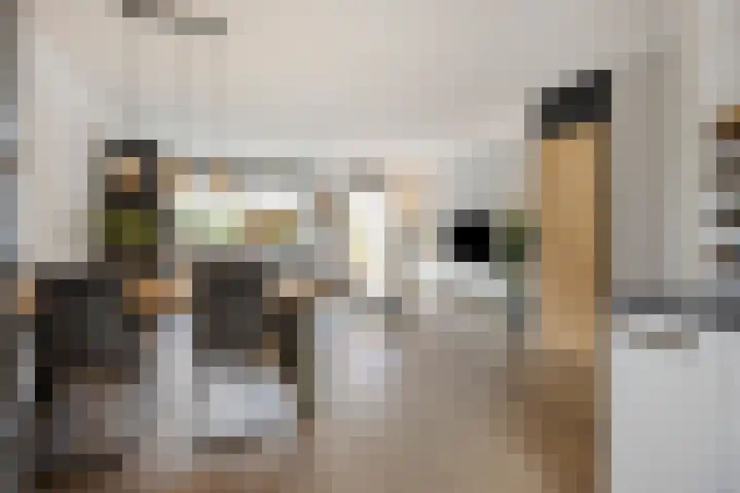 Rivierlaan 27 Spijkenisse thumbnail 8