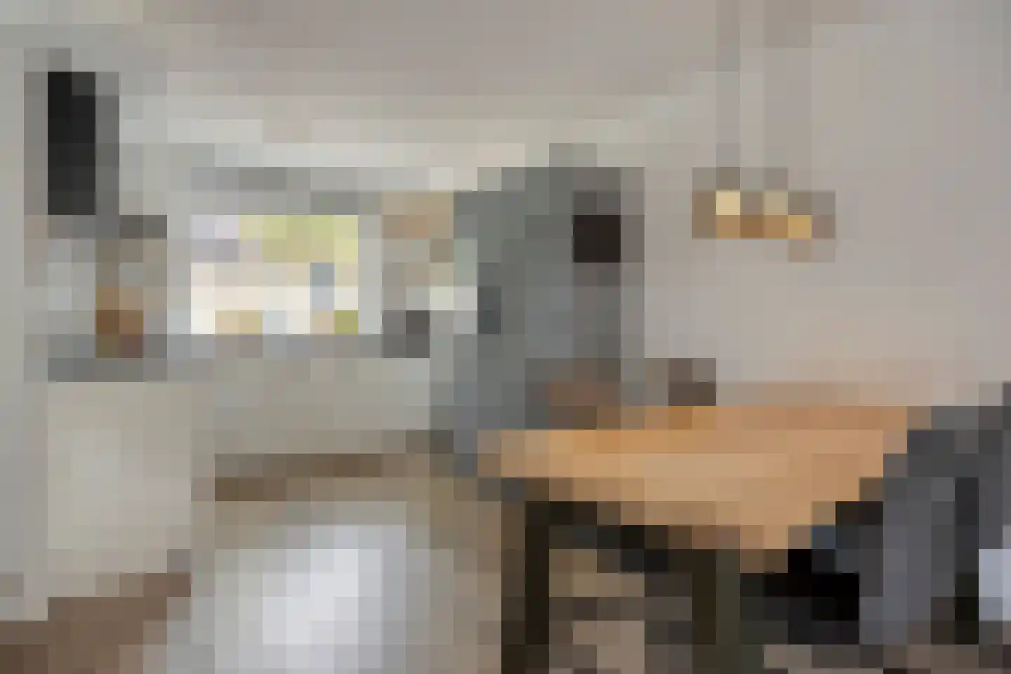 Rivierlaan 27 Spijkenisse thumbnail 9